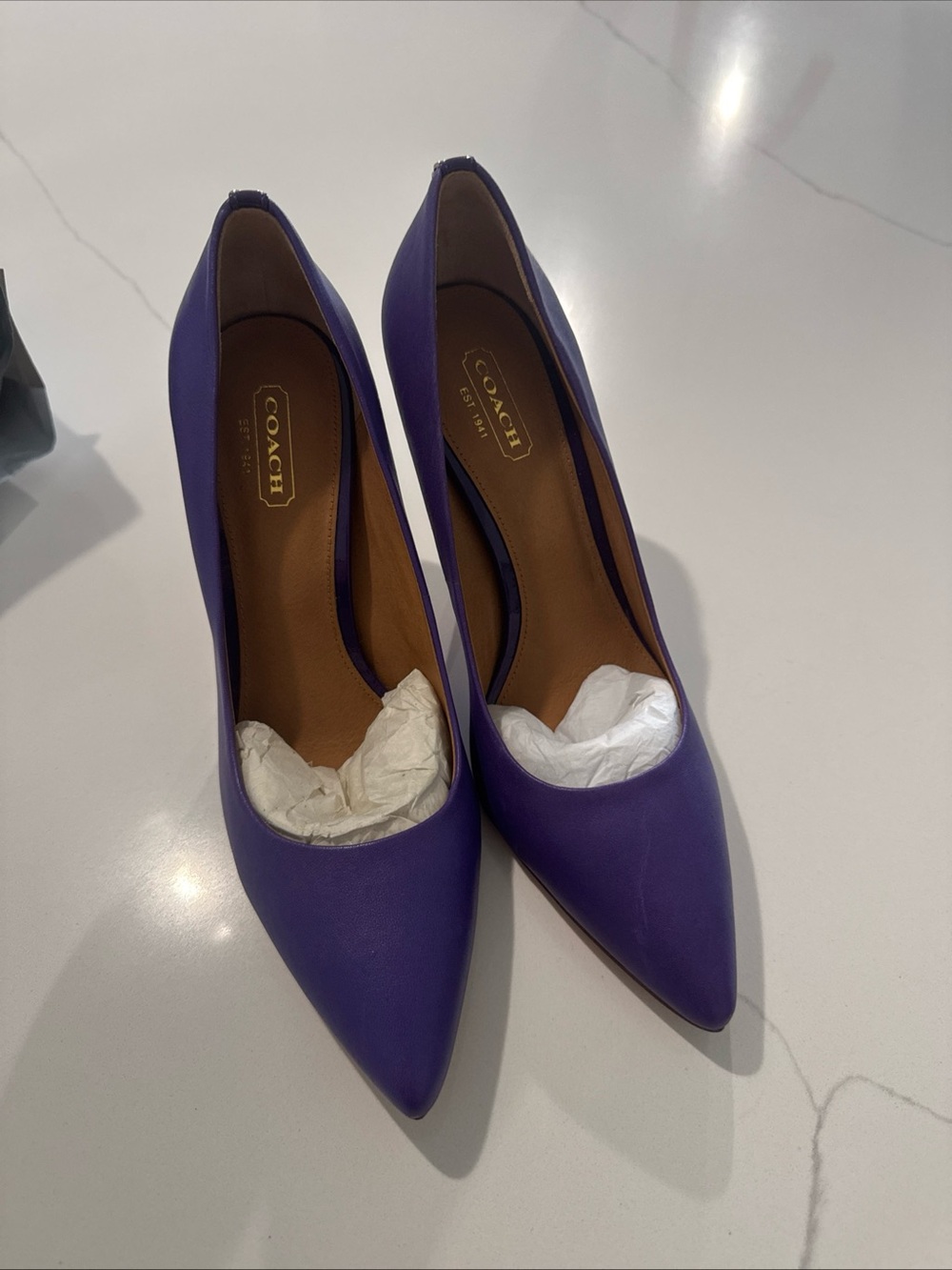 Coach Purple Pointed Toe Leather Pumps